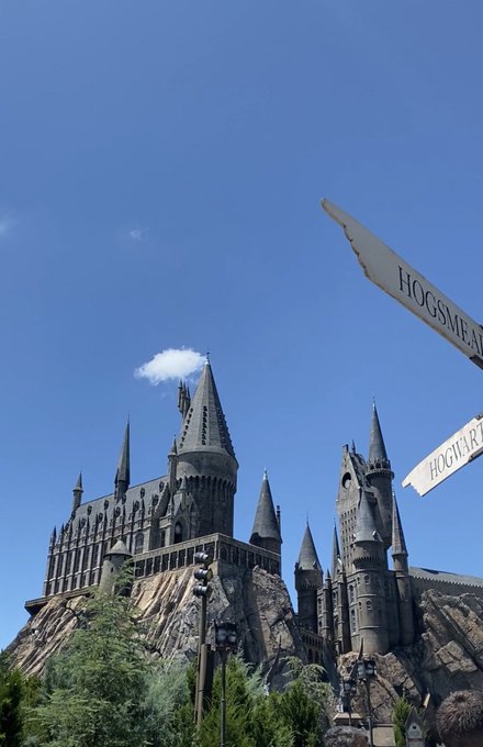 A Slytherin and a Ravenclaw decide to go on a trip&hellip;   and after three days filled with butterbeer, good