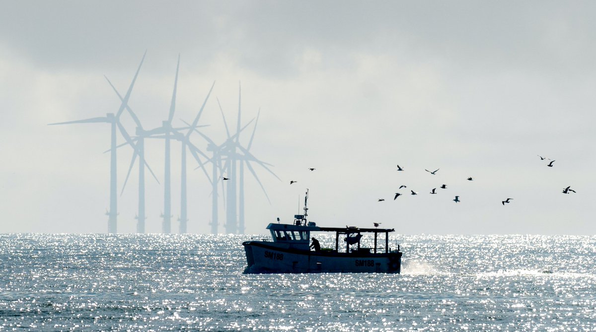 #MonmouthU will participate in the first #offshorewind project in the world to monitor for changes to fisheries using environmental DNA, or “eDNA". This crime scene investigation-style study is a new approach to marine detection. Read more → https://t.co/wfP0Ali3JV @MUUrbanCoast https://t.co/SYZ6eBdiSV