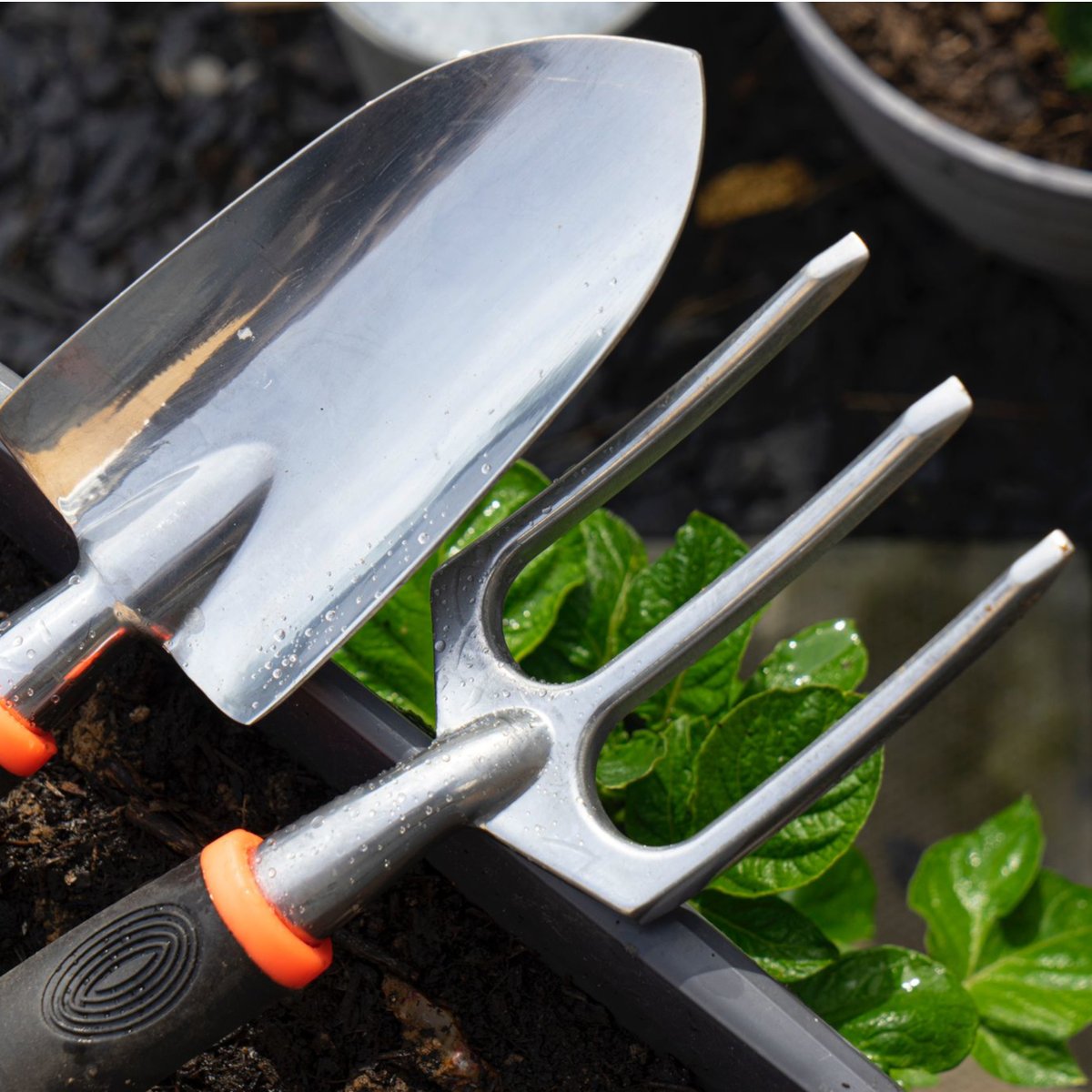 Our range of tools are perfect for helping you manage you #garden.
Check out the full range at gardigardening.co.uk
#gardentips #gardengoals #gardeningideas #gardening #gardeninspiration #gardeninglife