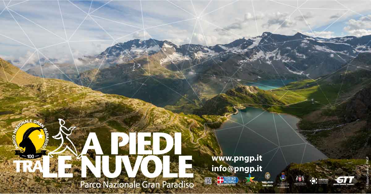 🤩 A piedi tra le nuvole”, fino al 28 agosto, il Parco Nazionale del Gran Paradiso promuove la mobilità dolce. Domeniche e Ferragosto, gli ultimi 6 km della statale del Nivolet sono chiusi al traffico privato si sale ai 2500 metri del colle con navette GTT gtt.to.it/cms/notizie-ev…