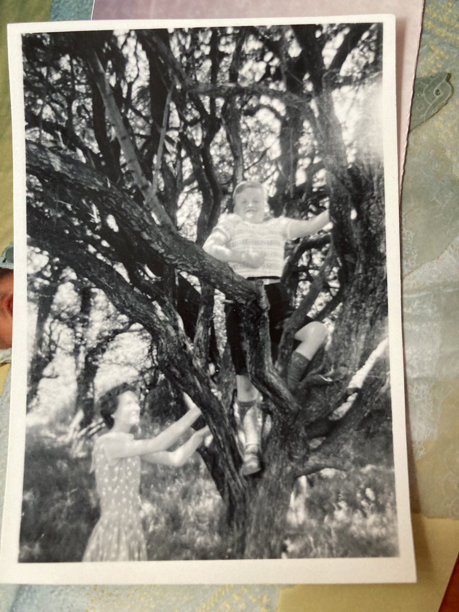 Dr Jen Chesters tweet media