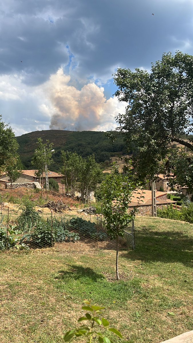 INFOCYL's tweet photo. 🔥 #PinedaDeLaSierra #Burgos
📸
🕑 15:30

Así se encuentra el #IIFF 
Se desconocen los medios actuando
 
#PlanINFOCAL
#BomberosForestales https://t.co/HFHzaZKAgU