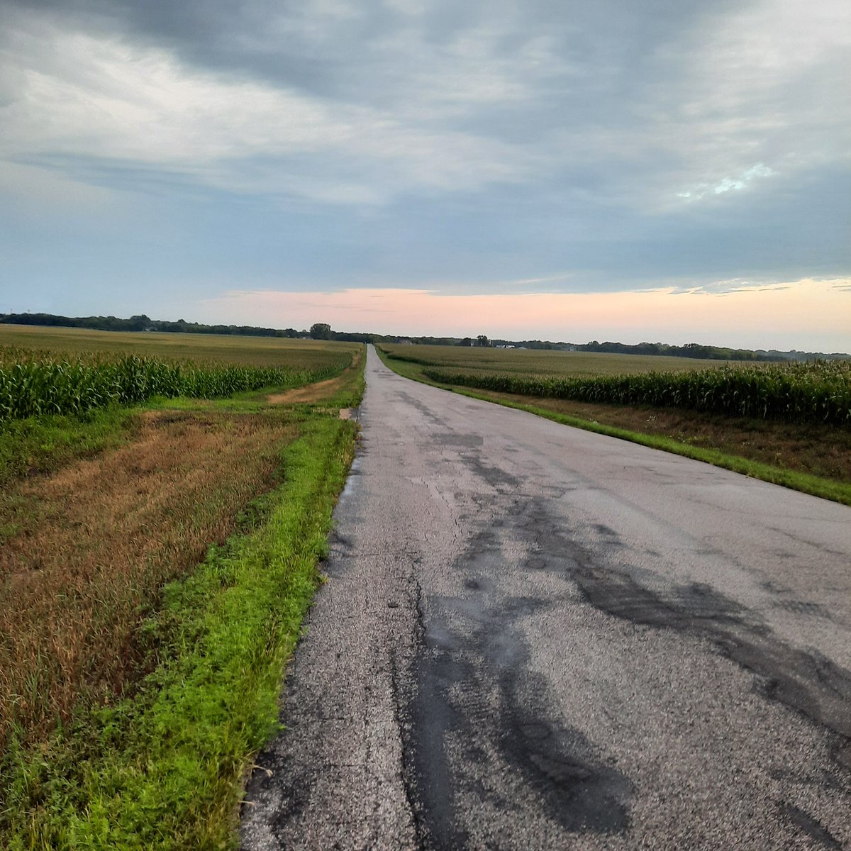 SAMOD2222's tweet image. 11 Super Soupy Miles. 😁  This was my favorite road today.  Let's see yours. #running #humidrun