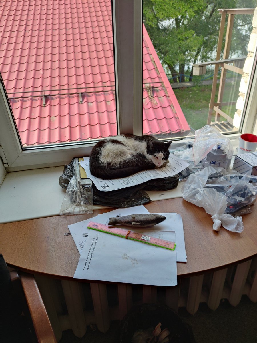 FairyNary's tweet photo. Кста вот рыбов https://t.co/osccv09OJR
