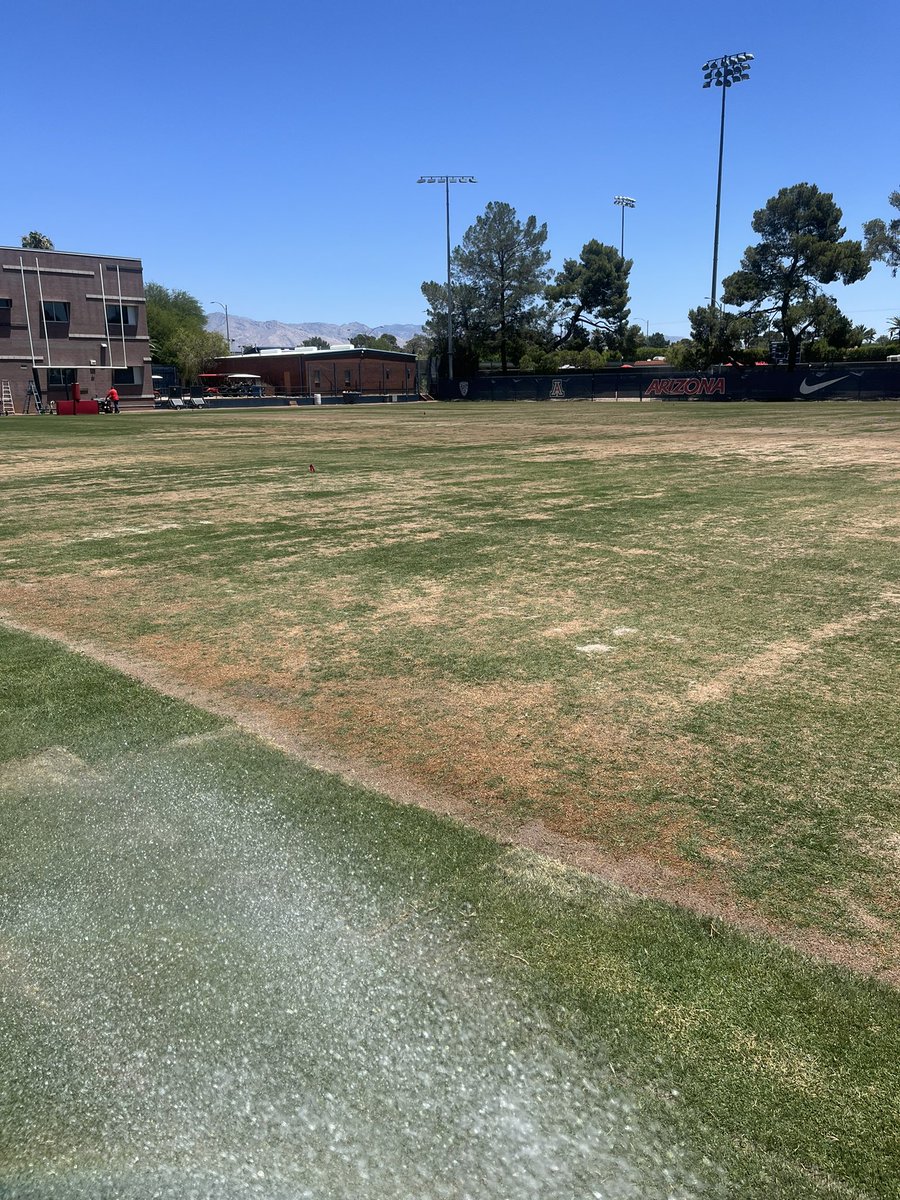 ZonaGrassGuy's tweet photo. Today. Opening of fall football camp. Vs May.

200 plugs, 1500sqft of sod. 1 Field ready for @ArizonaFBall @CoachJeddFisch 

Shout out to my crew. Couldn’t do it without them. #LaFamilia #SportsTurf #BeAPro https://t.co/tjY6zGBWSl