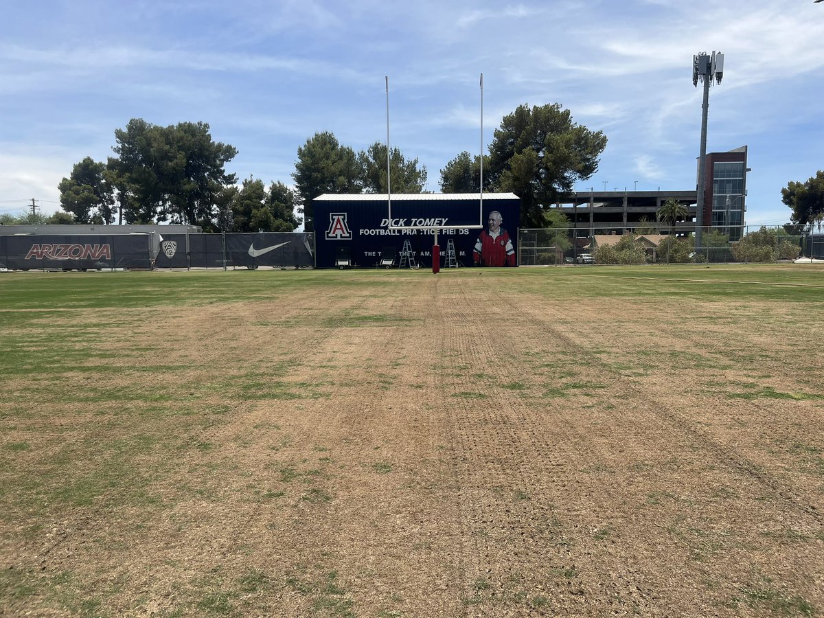 ZonaGrassGuy's tweet photo. Today. Opening of fall football camp. Vs May.

200 plugs, 1500sqft of sod. 1 Field ready for @ArizonaFBall @CoachJeddFisch 

Shout out to my crew. Couldn’t do it without them. #LaFamilia #SportsTurf #BeAPro https://t.co/tjY6zGBWSl