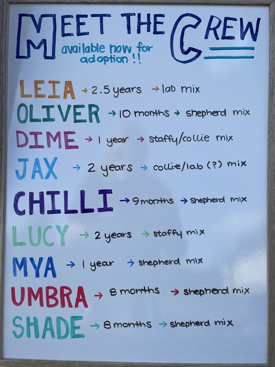 As mentioned for @TDellerCBC with one gratuitous dog photo. Oliver and friends available now from <a href="/ccrezqsregina/">CC RezQs Regina</a> who got me out to see the rainbows 🌈