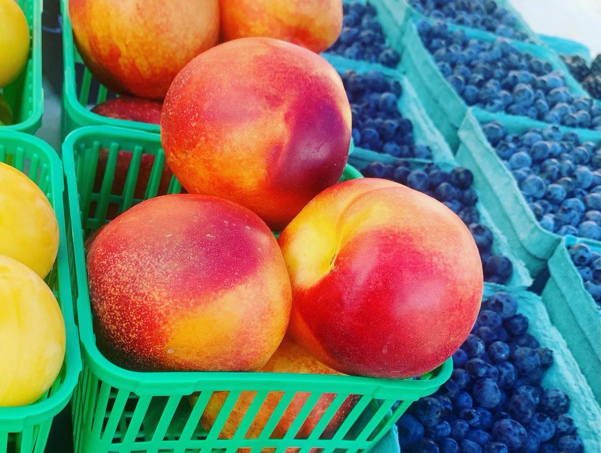 Here’s some photos of the fresh produce and goods for sale at the Farmers’ Market last week! 🍯🫐 Don’t fret if you missed it, we’ll be back again tomorrow at 4pm on Willow Street N. 😉