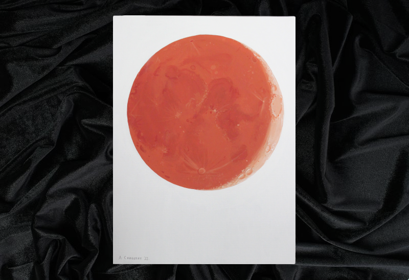 Alex C - The Interior DIYer tweet media