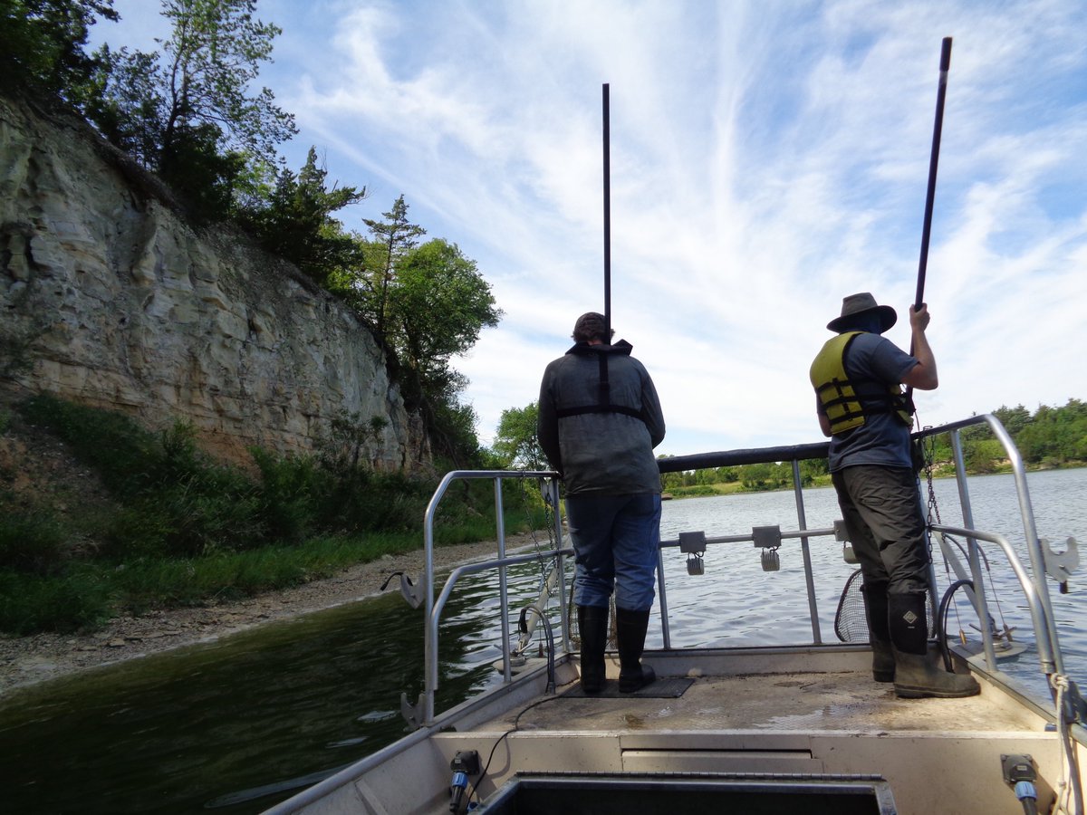 SDSUFishEcology's tweet photo. Time away from the desk seeing what fish are eating in SD impoundments. #fish #FishSci https://t.co/J2PsoOBdNV