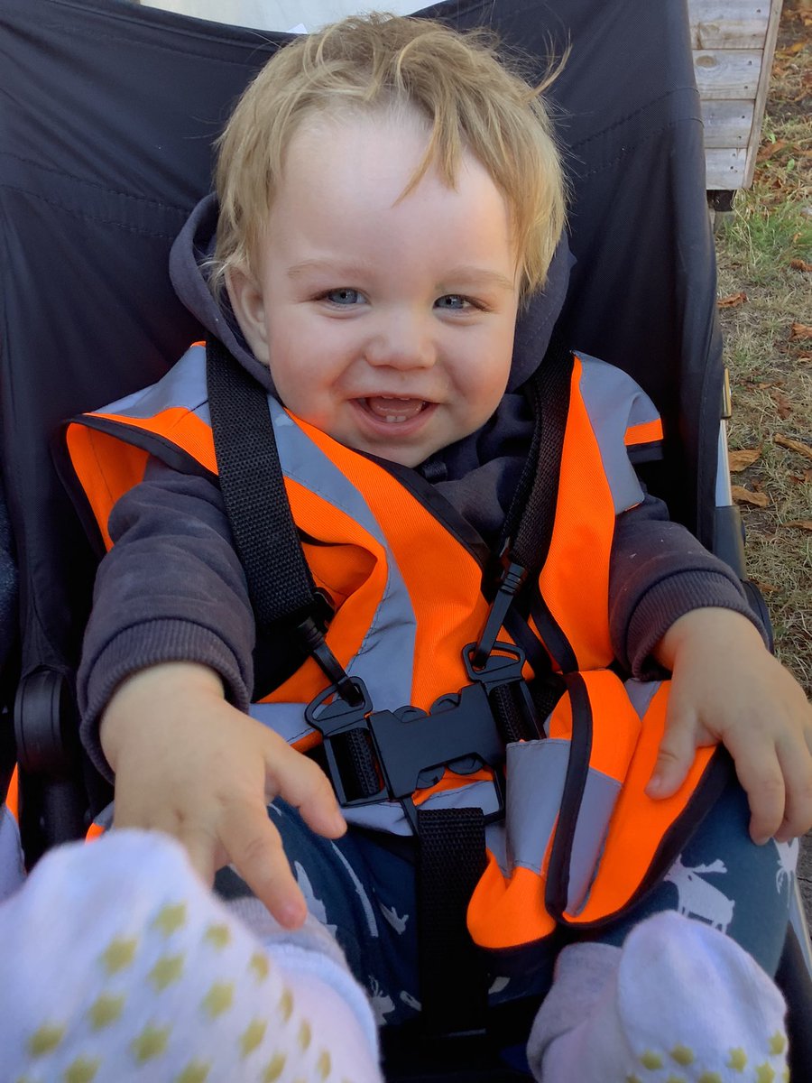 shiresnap's tweet photo. The babies were super excited to be heading out on a trip to their local park today! 😁 https://t.co/EGgzbG8H4v