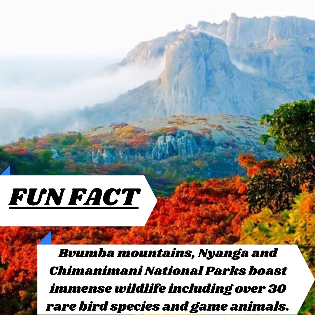 Kuva Local tweet media