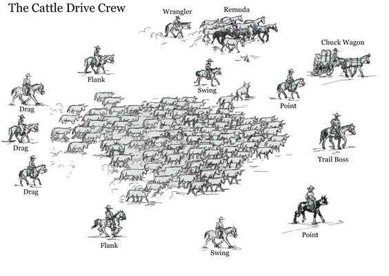 NickBrumby's tweet photo. Cattle drives were a major economic activity in the 19th/early 20th C American West, From the end of the Civil War until 1890, some 27m cattle were driven from Texas to railheads in Kansas, for shipment to stockyards in Louisiana and points east.

#wildwest #oldwest #westerns https://t.co/DCt05ZoC4P