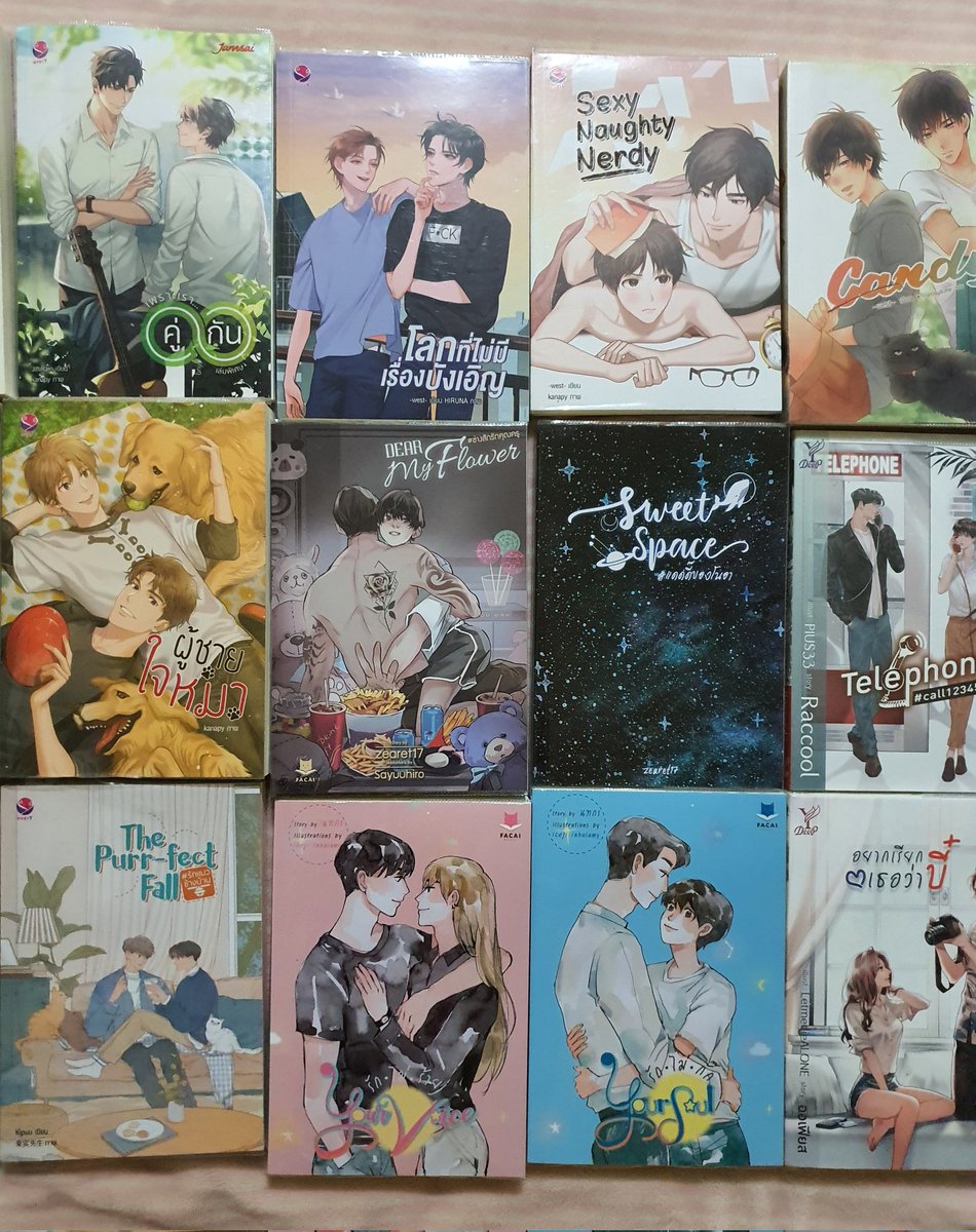 Xavitubbies's tweet photo. สนใจเล่มไหนเดมมาได้เลยค่ะ สภาพ 99%ทุกเล่ม บางเล่มยังไม่ได้เปิดอ่านเลยค่ะ ใส่ปกทุกเล่ม ส่งลทบ.ฟรี ขนส่งเอกชนเลือกเองได้ เดมมาคุยกันก่อนได้ค่ะ #ขายนิยายวาย #นิยายวายมือสอง #แนะนำนิยายวาย #นิยายวายมือสองสภาพดี #นิยายวาย https://t.co/Ee7tpLf057