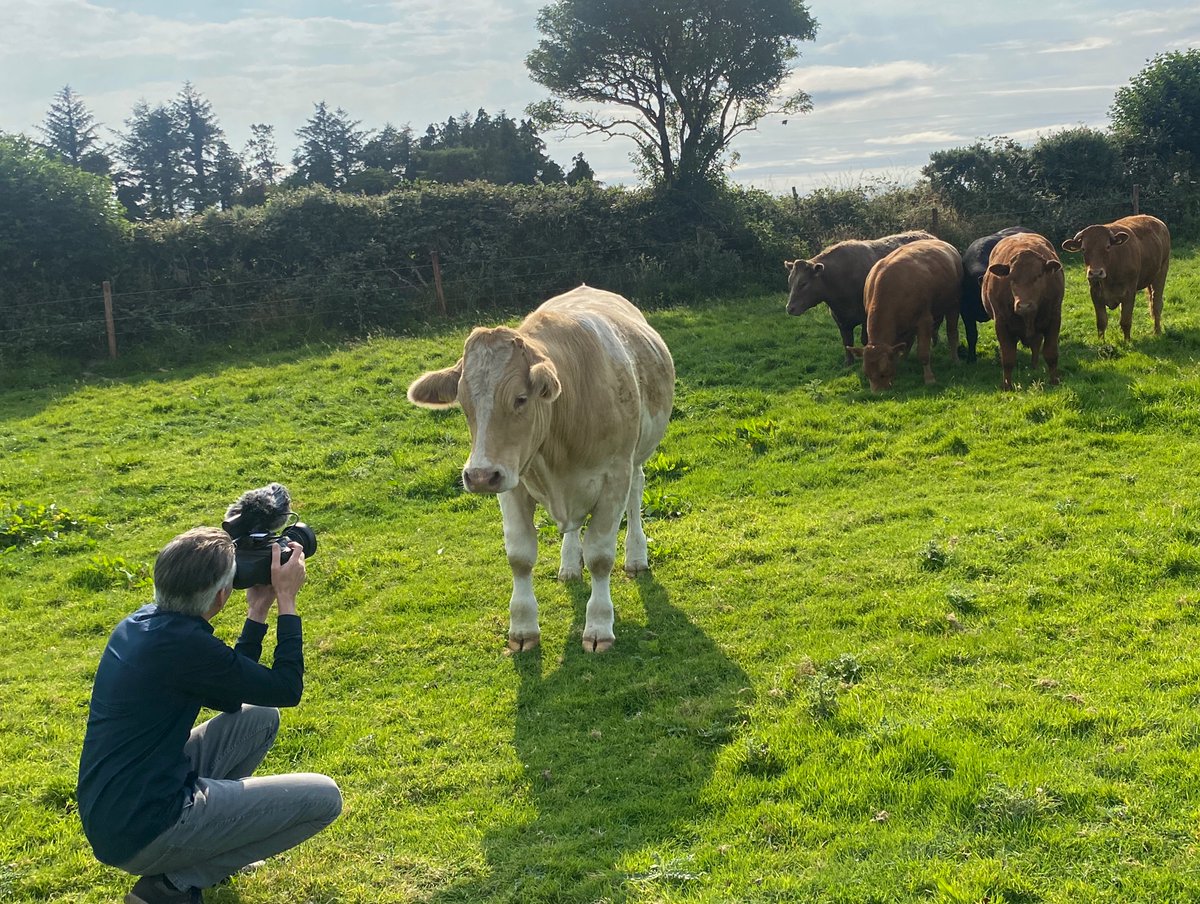 Williams Gate tweet media