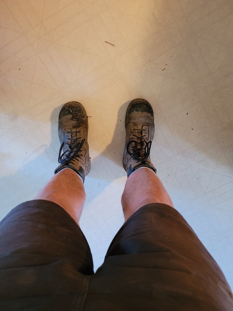 HV_holsteins's tweet photo. Boots on in the house.
#BachelorWeek https://t.co/484aGiXYdY