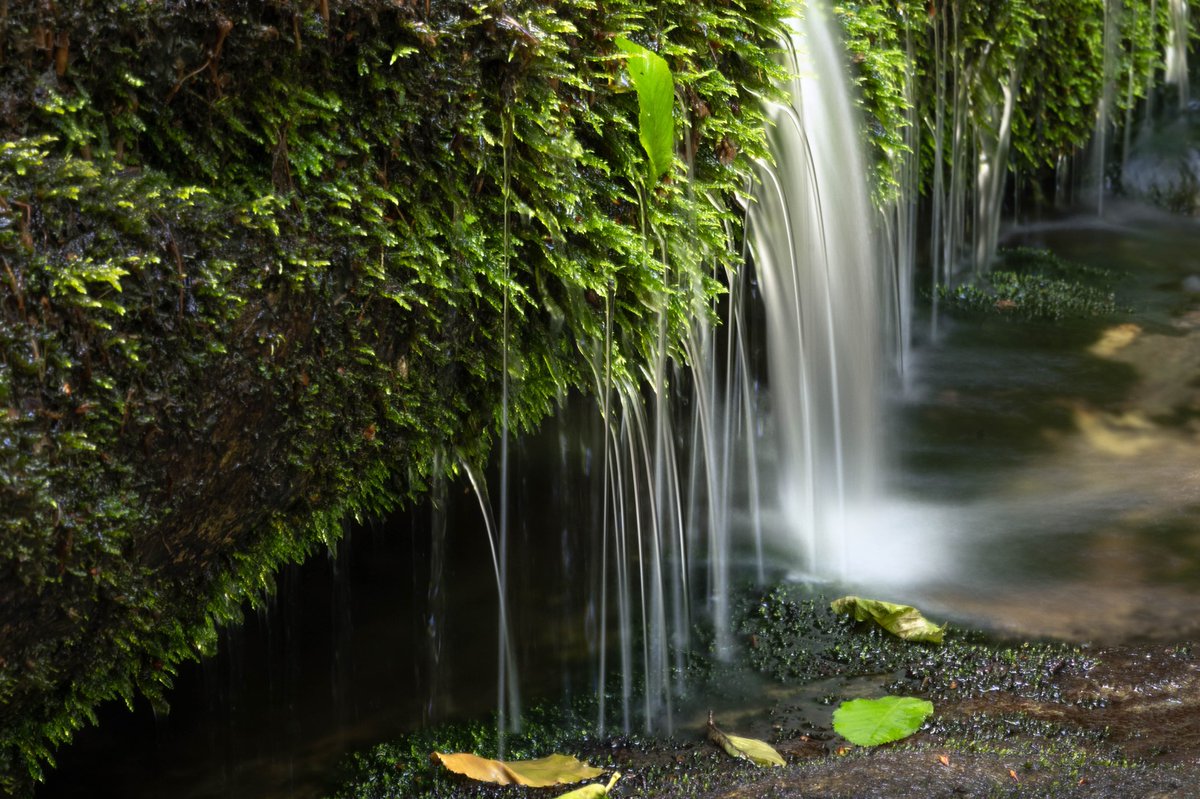 Nature Photographers Network tweet media