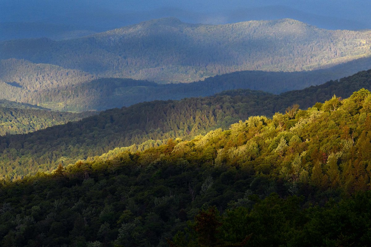 Nature Photographers Network tweet media