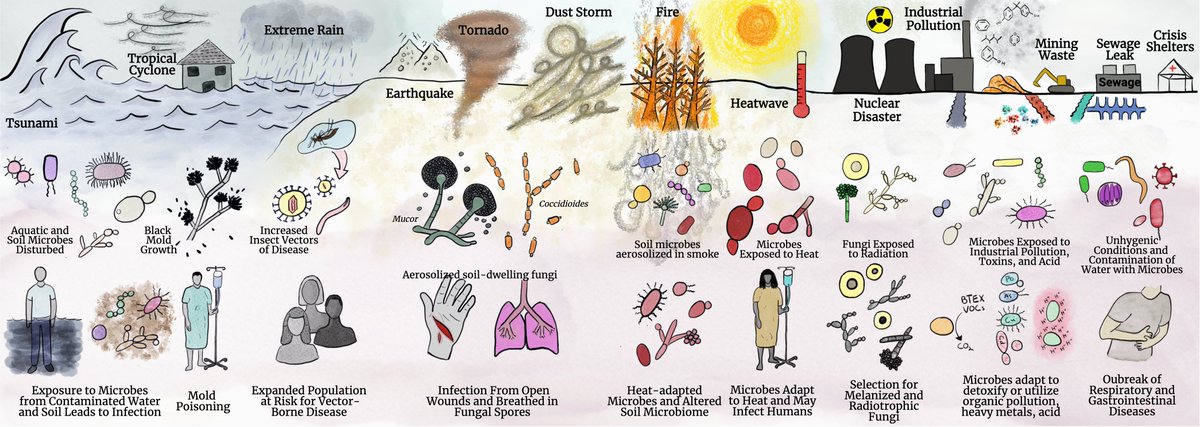 ACasadevall1's tweet photo. Disaster Microbiology is a new field of study. Natural and human made disasters create conditions for new microbiology that pose major challenges to the biosphere and teach us new basic science. Kudos to @Danfqsmith for developing this idea! @mbiojournal 
https://t.co/LSrgq92sPn https://t.co/bw5OAJ9hm7