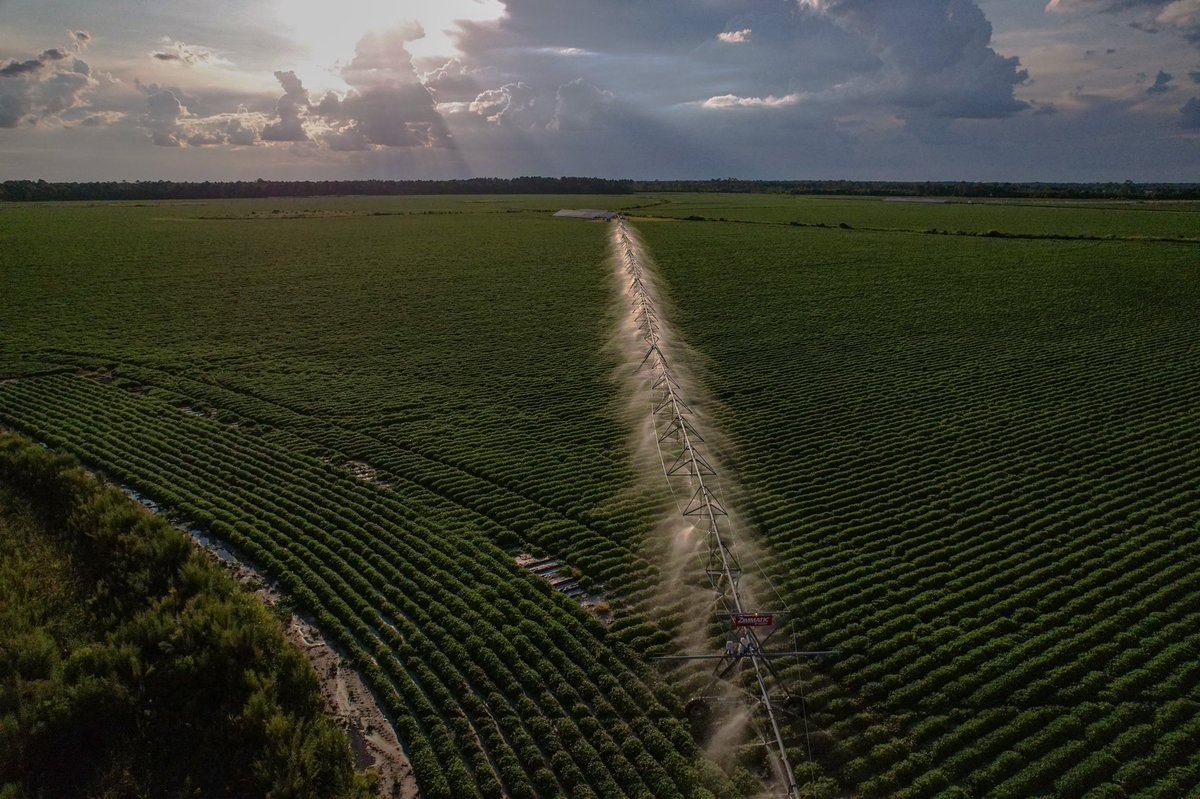 When you can’t find the rain, you make the rain #gapeanuts <a href="/ZimmaticUSCA/">Zimmatic US/CA</a>