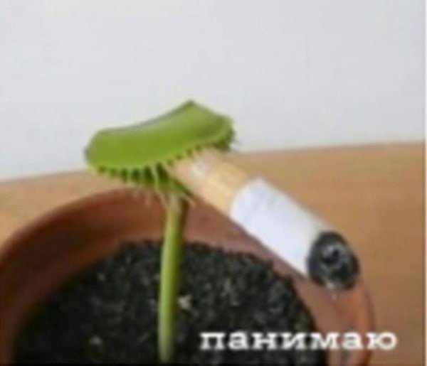 toxxic_rat's tweet photo. всем привет, токсик рэт жива хаха. в общем, меня тут не было очень много месяцев. все это время я занималась учёбой, а с апреля по середину июля у меня были экзамены. сейчас я поступила в очень классное художественное училище у нас в питере на гр. дизайнера. 🔽🔽 https://t.co/hb23TF0FdZ