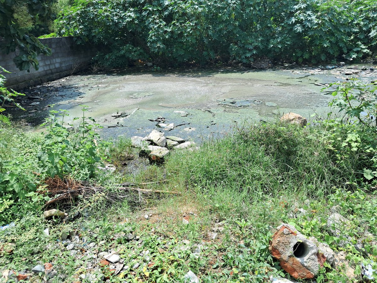 SrinathaSuri's tweet photo. @KTRTRS @KTRoffice 
Sir we Residents of Sahara States Mansurabad (5000 Residents) &amp; in &amp; around colonies r suffering bcoz of Drainage of few Apartments of Vivekananda Nagar phase 1 (back side our colony) let out openly into adjoining land health hazard, smelling bad all day. Help https://t.co/Z8he1IOr0L