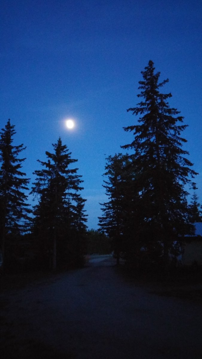 Only 11 more days before we gather under the trees and stars again...