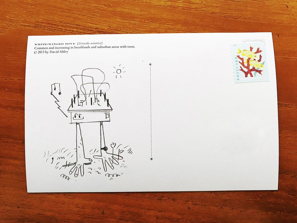 wcraghead's tweet photo. postcards sent to pals to send cheer 

I still love my kastle noise friends

#mailart #postcard #seedtoss #kastle #kastledrum @bastlinstrument #noise https://t.co/BqCWnpJ7R9