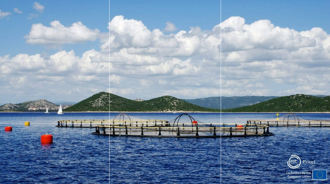 Are you seeking funding for a project in #aquaculture? 🤔

Join our upcoming webinar to learn how to submit a project proposal for <a href="/EITFood/">EIT Food</a>'s open innovation call.

Open to anyone working in the aquatic space!

Register here 👉 bit.ly/3zQidbH