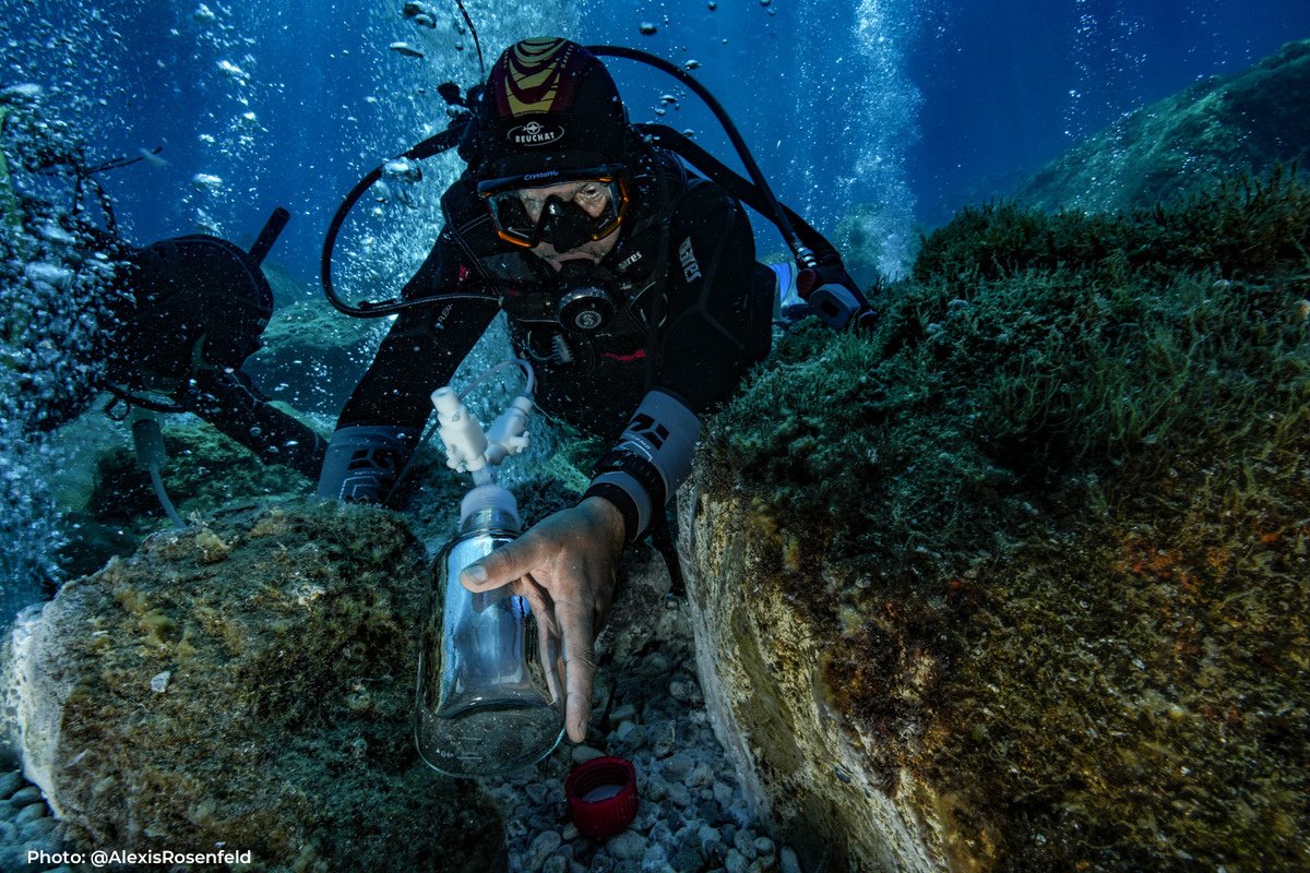 UNGeneva's tweet photo. We need to improve our knowledge of underwater volcanoes and the risk of tsunamis in the Mediterranean.
Read about @unesco -#1Ocean exploration mission, led by @alexisrosenfled carried out in the Aeolian Islands, Italy: https://t.co/ajG9xd2ucN #OceanDecade #SaveOurOcean https://t.co/nTbZoO1yZR