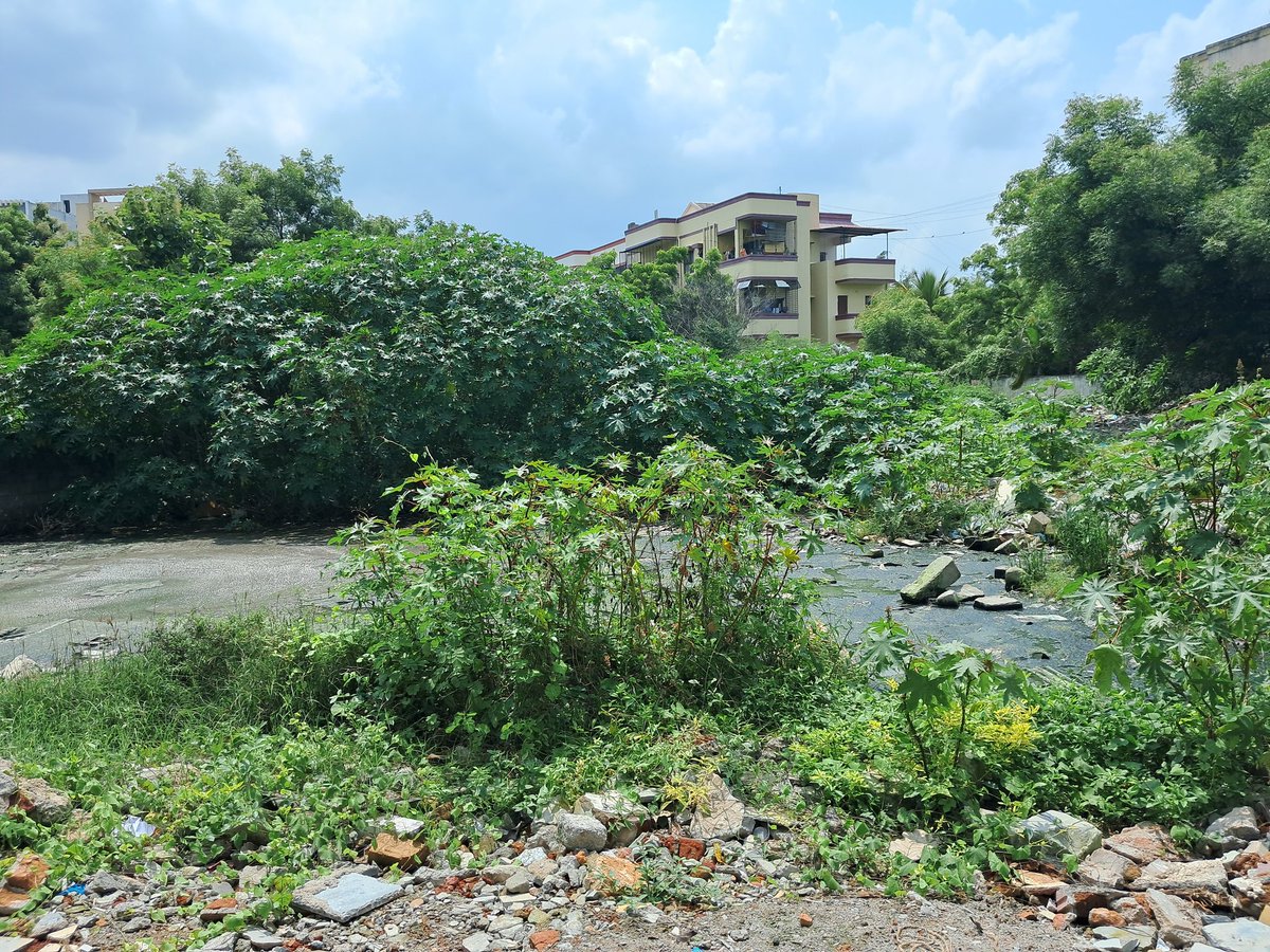 SrinathaSuri's tweet photo. @KTRTRS @KTRoffice 
Sir we Residents of Sahara States Mansurabad (5000 Residents) &amp; in &amp; around colonies r suffering bcoz of Drainage of few Apartments of Vivekananda Nagar phase 1 (back side our colony) let out openly into adjoining land health hazard, smelling bad all day. Help https://t.co/Z8he1IOr0L
