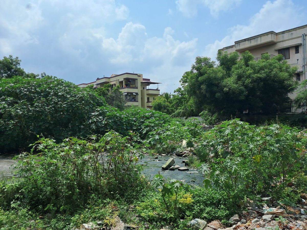SrinathaSuri's tweet photo. @KTRTRS @KTRoffice 
Sir we Residents of Sahara States Mansurabad (5000 Residents) &amp; in &amp; around colonies r suffering bcoz of Drainage of few Apartments of Vivekananda Nagar phase 1 (back side our colony) let out openly into adjoining land health hazard, smelling bad all day. Help https://t.co/Z8he1IOr0L