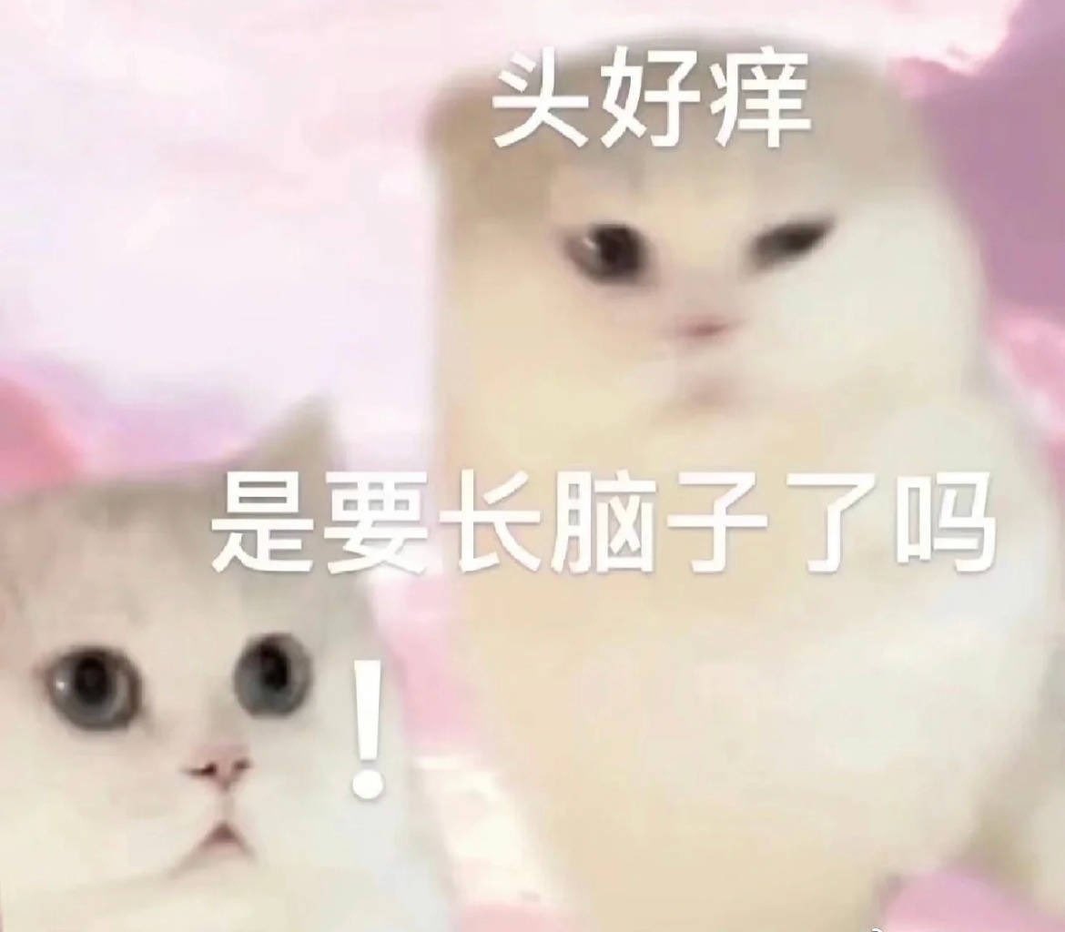 shiro_bird's tweet photo. @iingwen @SpeakerPelosi 咋滴？县里盖高楼了？还是村里开席了？一群阴沟玩意儿。台独死全家。 https://t.co/aDzFwaNPe1