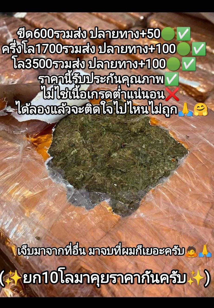 HwanSph's tweet photo. เด้งแชทมาได้ตลอดค้าบบ🟢✅
มีเก็บปลายทางด้วยน้าา💚
จัดกับผมจบแน่นอนครับสหาย🍃🙏
ชนมือพระประแดงค้าบ🥰
แอดไลน์มานะค้าบสหาย🙏✅💚
🆔0899115324
#พันลําog #พันลำ #กัญชาอัดแท่ง #กัญชาเสรี #กัญชาออแกนิค #กัญชาเสรี #กัญชาสมุทรปราการ #กัญชา #OG #BLACKPINK #Happy12thAnniversaryMTBB #SS9i https://t.co/WAwLKwz8zV