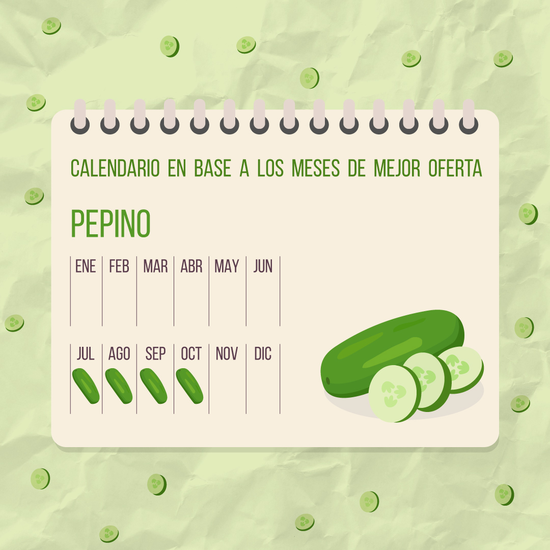 MPASFE's tweet photo. #InfoVital 

🥒El Pepino es uno de esos alimentos que sabe acompañar. Lo encontramos en ensaladas, en cremas, en sopas y, por qué no, en algunos cócteles 🍹

Buscá los tuyos en el #MercadodeSantaFe y probá su poder refrescante 💯 https://t.co/xFMbOnhr2j