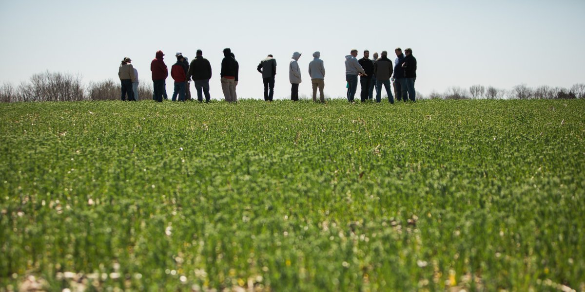 CoverCress's tweet photo. CCI is grateful to our partners for their support in our mission over the last decade. We're happy to create a meaningful exit for early-stage investors &amp; founders following Bayer AG's acquisition of a 65% controlling interest in CCI. Read more here: https://t.co/H2AAZqbQTp https://t.co/Vsw9xQ0Sxh