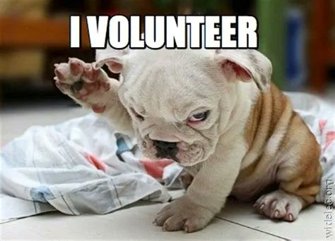 artswesternct's tweet photo. Do you love the arts and want to help support more arts and culture in our area? Then come volunteer with us!
Learn more: https://t.co/SEFTOLLRZA
#volunteertoday #supportthearts #cawct #AEP6 https://t.co/GqP50JohGG