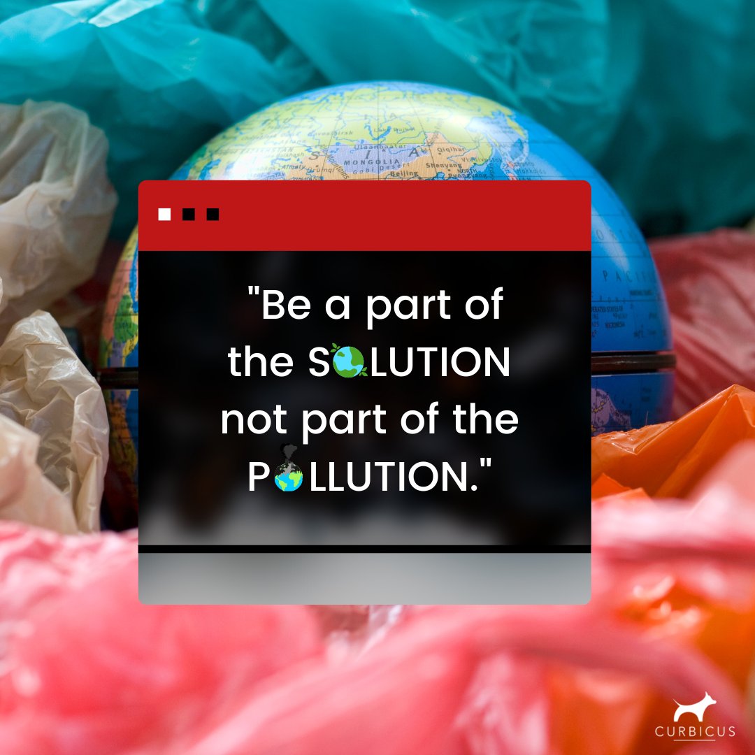 Curbicus tweet media