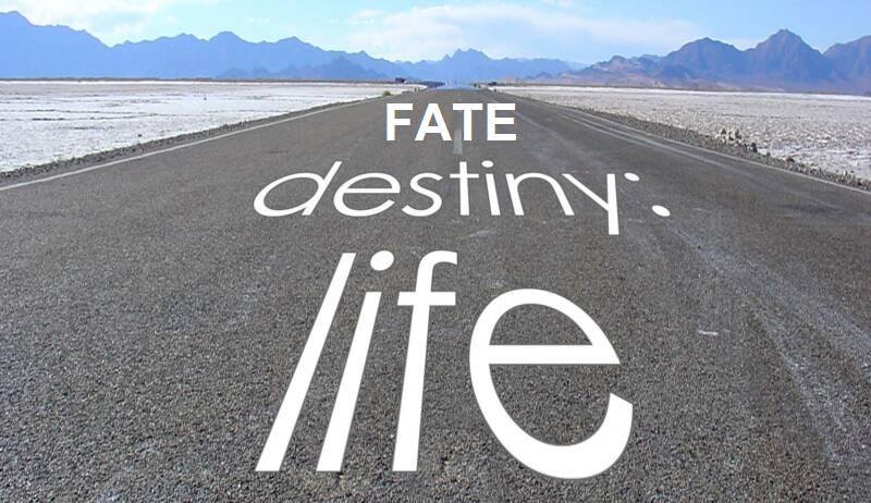 TimStephens_'s tweet photo. Believe in fate, but lean forward where fate can SEE you! #TipsFromTim https://t.co/c0Y0m4KDBc