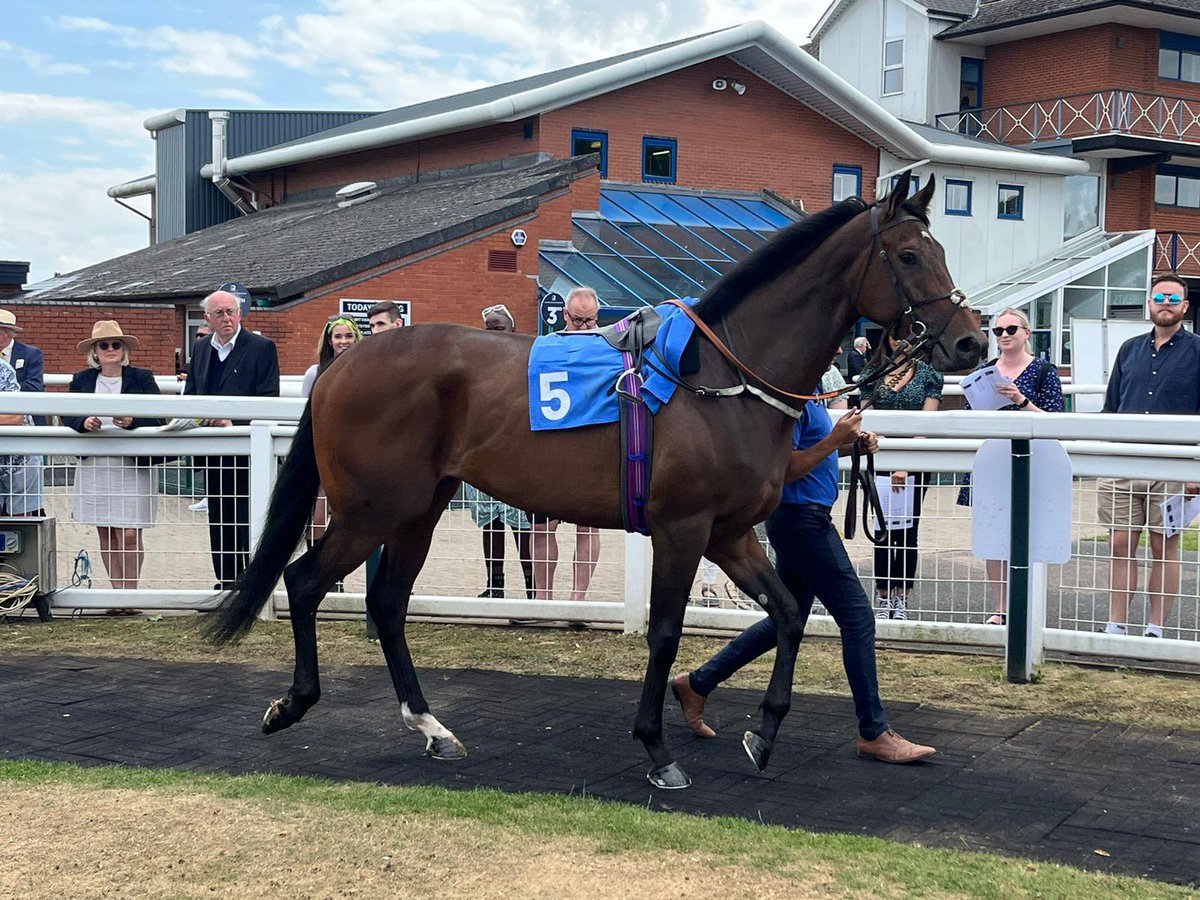 Another win for Lincoln Pride @NewcastleRaces. A very good patient ride from @DavidNo45583497, top class riding. Hopefully this girl can keep progressing. Well done to @omeararacing she looked great today. That’s winner number 4 for us in 2022 and a healthy 25% strike rate.