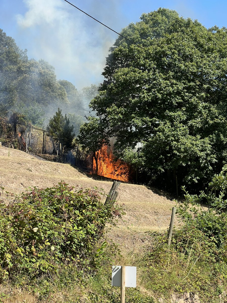 Die Feuerwehr bekämpft aktuell einen Brand in Hambach zwischen der Käsgasse und dem Hambacher Schloss. Wir berichten weiter…