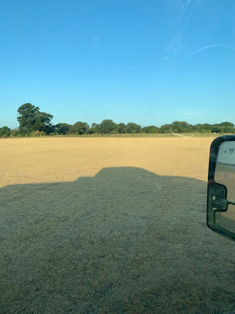 Grass outside of our pivot range! December or august?