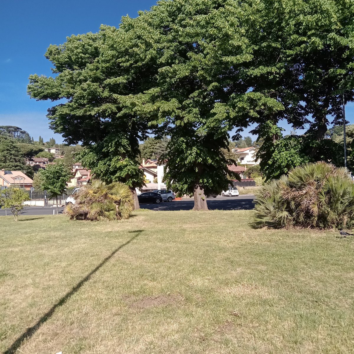 Un sereno  pomeriggio  a tutti  voi, con affetto 

❤🙏