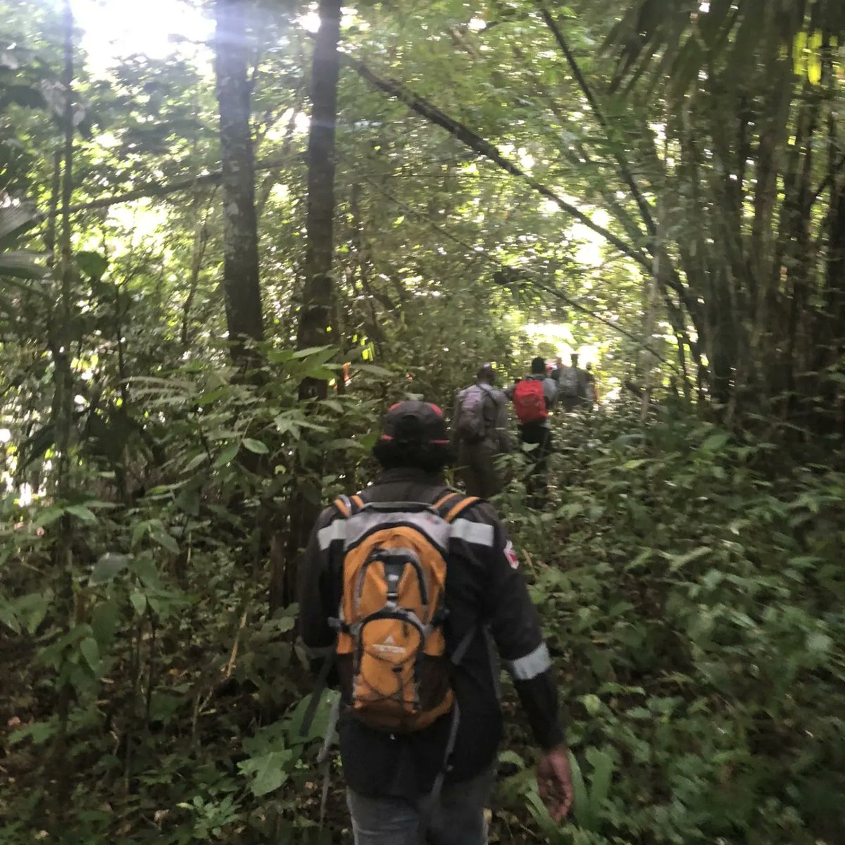MoonXav's tweet photo. Kapur Ridge ⛰️

I've always wanted to visit Kapur Ridge ever since reading about Kugler's early adventures in 🇹🇹. And on Saturday 30th July 2022, I finally pulled it off...and found some pretty cool things along the way.. https://t.co/gfEW0gSRc3
