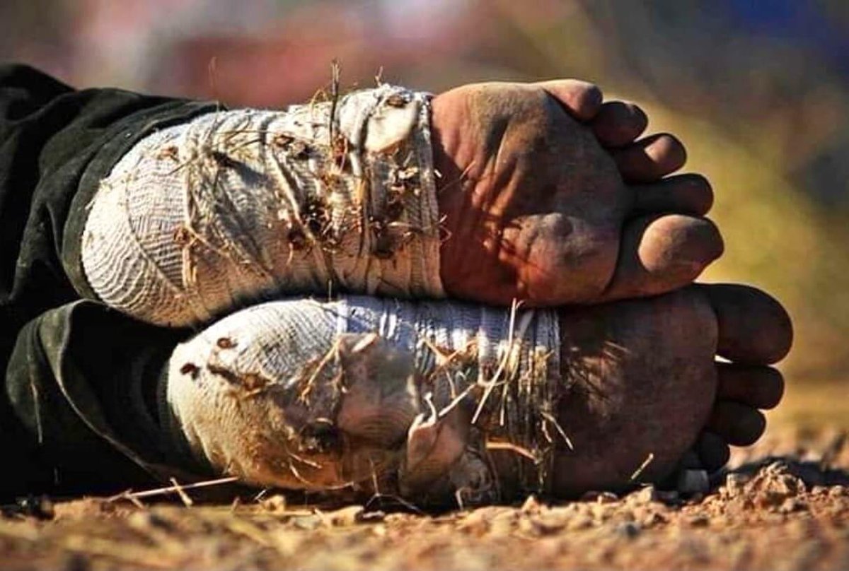 JeffreyShaker's tweet photo. هكذا كانت التضحية من أجل البقاء على المعتقد و الفكر و الهوية الإيزيدية. 

This is how it was the sacrifice in order to preserve the Yezidi belief, Ideology and identity. 
We will be stronger than ever in holding this  ideology. https://t.co/Ah2sreOWXn