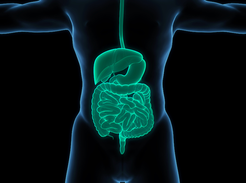 UK Covid Vaccine Research Hub (@ukcovidvaxhub) on Twitter photo Drug commonly used to treat inflammatory bowel disease limits protection given by 3rd #COVID #vaccine dose, finds new study from <a href="/clarityibd/">CLARITY IBD</a>
People on Infliximab were more than twice as likely to get a breakthrough infection.
Read the full story
👇
covidvaccineresearch.org/news/drug-comm… Drug commonly used to treat inflammatory bowel disease limits protection given by 3rd #COVID #vaccine dose, finds new study from <a href="/clarityibd/">CLARITY IBD</a>
People on Infliximab were more than twice as likely to get a breakthrough infection.
Read the full story
👇
covidvaccineresearch.org/news/drug-comm…