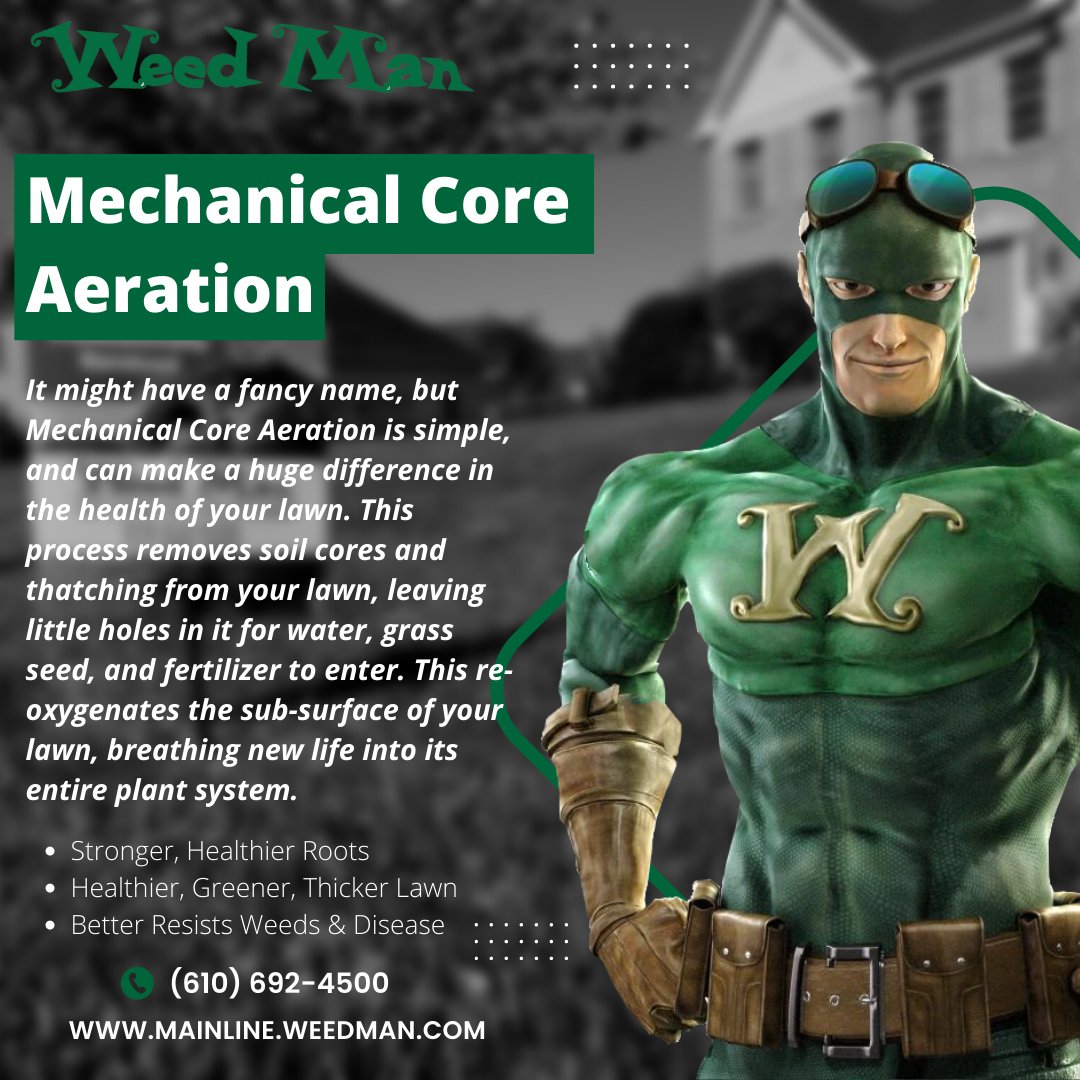 weedmanmainline's tweet photo. As summer begins to wind down, we are starting to focus on aeration and seeding for your lawn! Check out our website or give us a call for more information! #LawnCare #SupportLocal #mainlinepa #westchester https://t.co/Y1jdjEwD5j