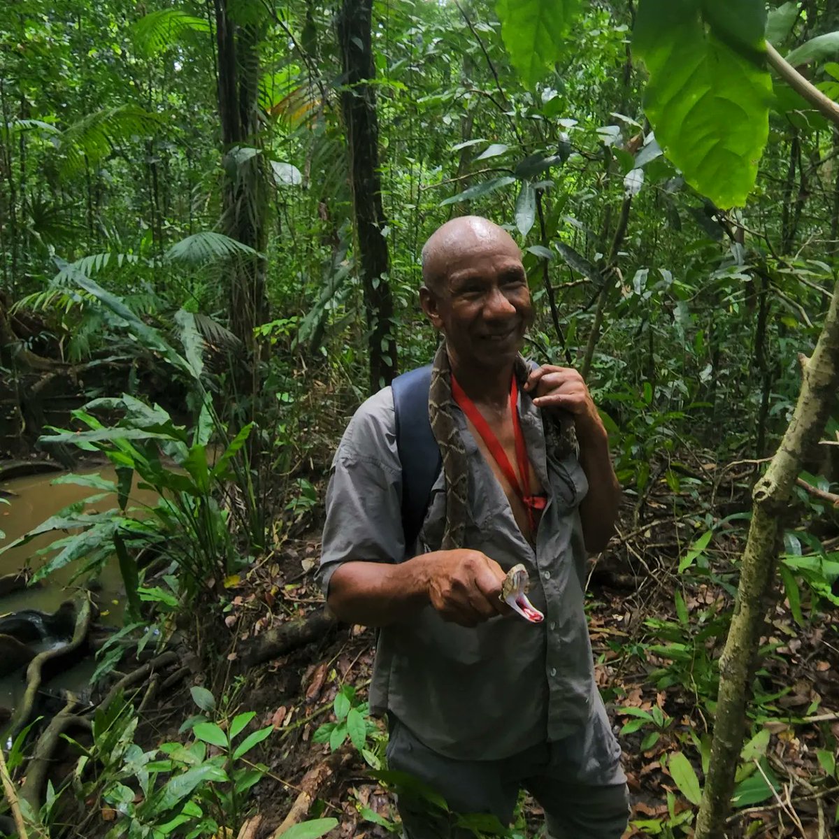 MoonXav's tweet photo. 👣 Led by Christopher Kelshall, and facilitated by @TouchstoneExp, the @AAPGYP_TT embarked on a 7hr round trip hiking expedition, following in the footsteps of renowned geologist Hans Kugler, his supervisor August Tobler and their Malaysian surveying companion Mas Bakal. https://t.co/rTSD45oBzU
