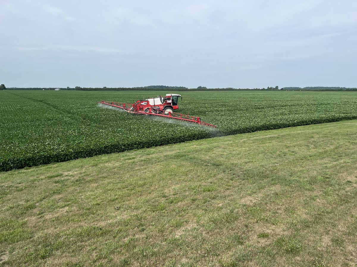 Zonderland Ag Enterprises out spraying some spider mites for me today in these <a href="/PioneerSeedsCA/">Pioneer Seeds Canada</a> 25A68X soybeans with their 2nd machine. 130ft at a time, 15in rows? No problem.  <a href="/ZonderlandAg/">Zonderland Ag Enterp</a>