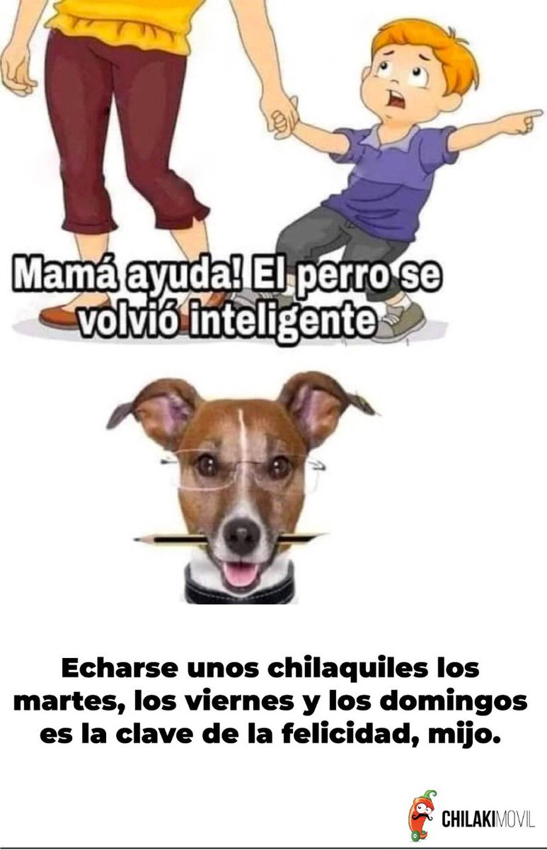 ¿Ustedes comen chilaquiles tantas veces a la semana?

Pide ya una orden o un combo a wa.link/9bhkot o escribe al #WhatsApp 55 25644897.